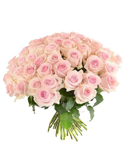 Large bouquet of roses Ecuador Nena